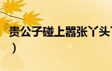 贵公子碰上嚣张丫头了（贵公子碰上嚣张丫头）