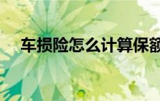 车损险怎么计算保额（车损险怎么计算）