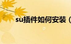 su插件如何安装（su插件怎么安装）