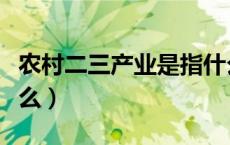 农村二三产业是指什么（农村一二三产业是什么）