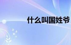 什么叫国姓爷（国姓爷是谁）