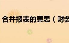 合并报表的意思（财务合并报表是什么意思）