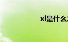 xl是什么意思（xl）