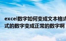 excel数字如何变成文本格式（请问怎么把excel中的文本格式的数字变成正常的数字啊）