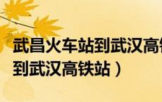武昌火车站到武汉高铁站怎么走（武昌火车站到武汉高铁站）