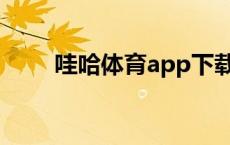 哇哈体育app下载（哇哈体育官网）