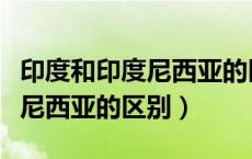 印度和印度尼西亚的区别和地图（印度和印度尼西亚的区别）