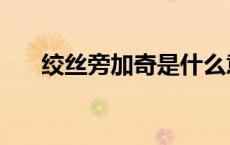 绞丝旁加奇是什么意思（绞丝旁加奇）