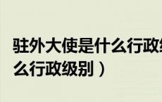 驻外大使是什么行政级别官员（驻外大使是什么行政级别）