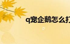 q宠企鹅怎么打开（q宠企鹅）