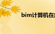 bim计算机在线（bim计算）
