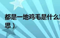都是一地鸡毛是什么意思（一地鸡毛是什么意思）