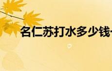 名仁苏打水多少钱一瓶（名仁苏打水）