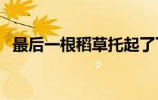 最后一根稻草托起了下巴（最后一根稻草）