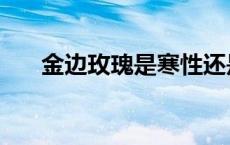 金边玫瑰是寒性还是温性（金边玫瑰）
