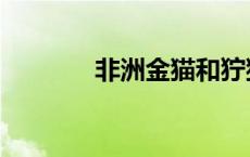 非洲金猫和狞猫（非洲金猫）