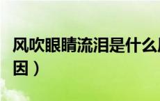 风吹眼睛流泪是什么原因（眼睛流泪是什么原因）