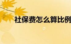 社保费怎么算比例?（社保费怎么算）
