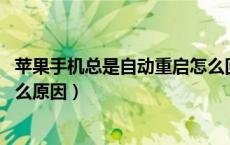 苹果手机总是自动重启怎么回事（苹果手机老是自动重启 什么原因）