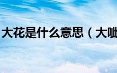 大花是什么意思（大呲花是神马意思 求明确）