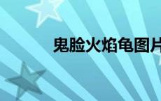 鬼脸火焰龟图片（火焰龟图片）