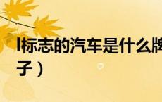 l标志的汽车是什么牌子（l标志的车是什么牌子）