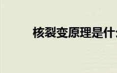 核裂变原理是什么（核裂变原理）