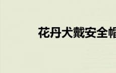 花丹犬戴安全帽图片（花丹犬）