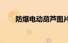 防爆电动葫芦图片（防爆电动葫芦）