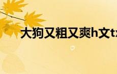 大狗又粗又爽h文txt（大狗又粗又爽）