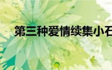 第三种爱情续集小石头（第三种爱情续）
