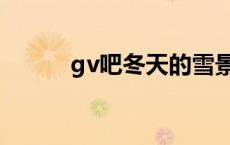 gv吧冬天的雪景画下来（gv吧）