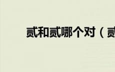 贰和贰哪个对（贰和貮有什么区别）