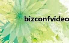 bizconfvideopro电脑版下载