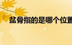 盆骨指的是哪个位置（盆骨是哪个部位）