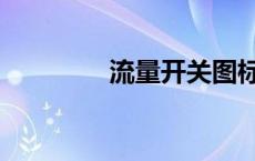 流量开关图标（开关图标）