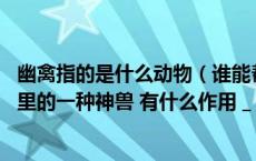 幽禽指的是什么动物（谁能帮忙介绍一下幽安鸟 它是山海经里的一种神兽 有什么作用 _）
