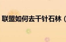 联盟如何去千针石林（千针石林联盟飞行点）