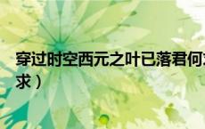 穿过时空西元之叶已落君何求（穿过时空西元之叶已落君何求）
