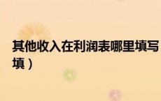 其他收入在利润表哪里填写（其他业务收入在利润表中怎么填）