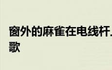 窗外的麻雀在电线杆上多嘴你说这一句是什么歌