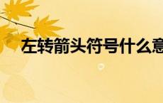 左转箭头符号什么意思（左转箭头符号）