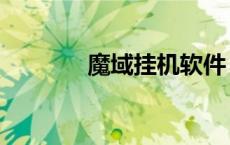 魔域挂机软件（魔域外挂网）