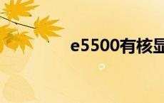 e5500有核显吗（e5500）