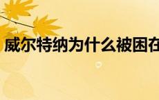 威尔特纳为什么被困在荷兰人号（威尔特纳）