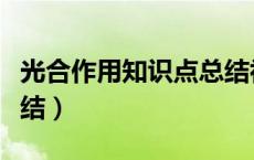 光合作用知识点总结初中（光合作用知识点总结）