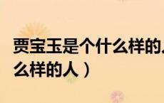 贾宝玉是个什么样的人议论文（贾宝玉是个什么样的人）