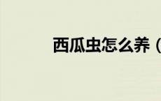 西瓜虫怎么养（西瓜虫吃什么）