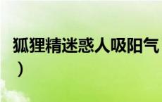 狐狸精迷惑人吸阳气（女狐狸精玩吸书生阳气）