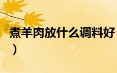 煮羊肉放什么调料好（煮羊肉放哪些调料好吃）